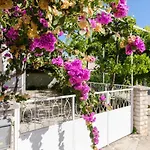Apartment Roza