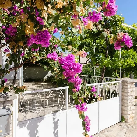 Apartment Roza