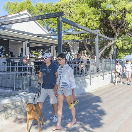 Roza Vodice
